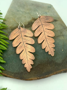 Large Copper Ferns