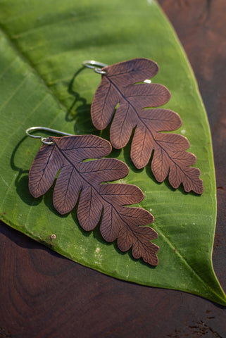 Large Copper Ferns